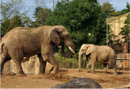 八木山動物園
